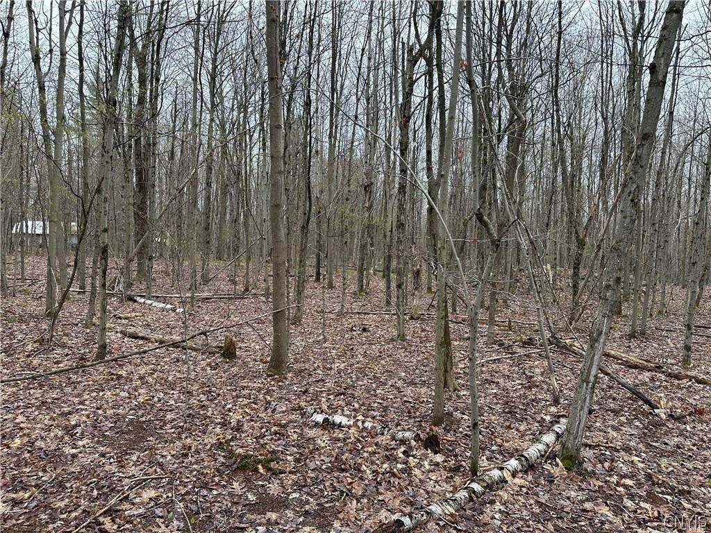  Donnerville Road - Photo 1