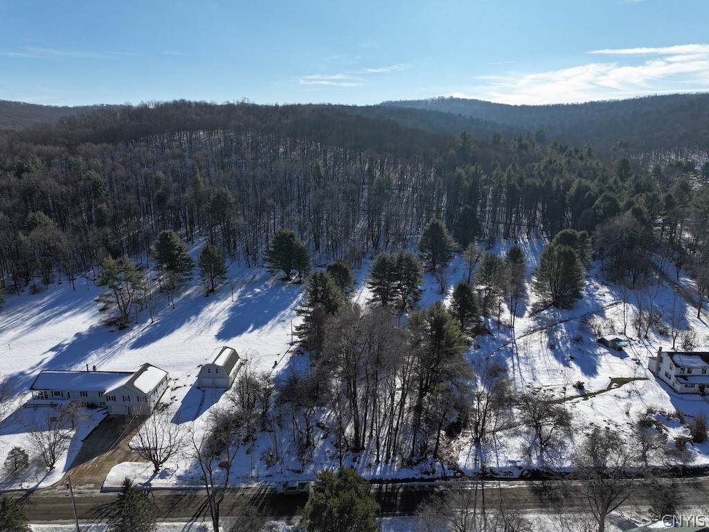 4755 Fay Hollow Road - Photo 1