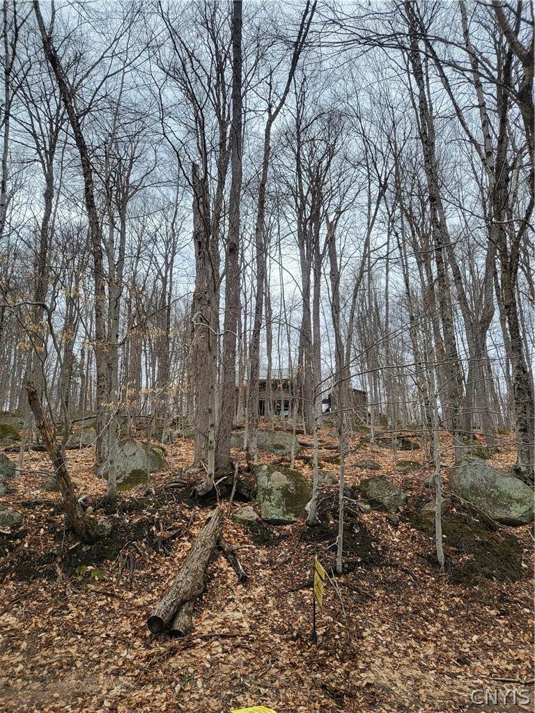 https://bt-photos.global.ssl.fastly.net/rochester/orig_boomver_2_S1671801-2.jpg