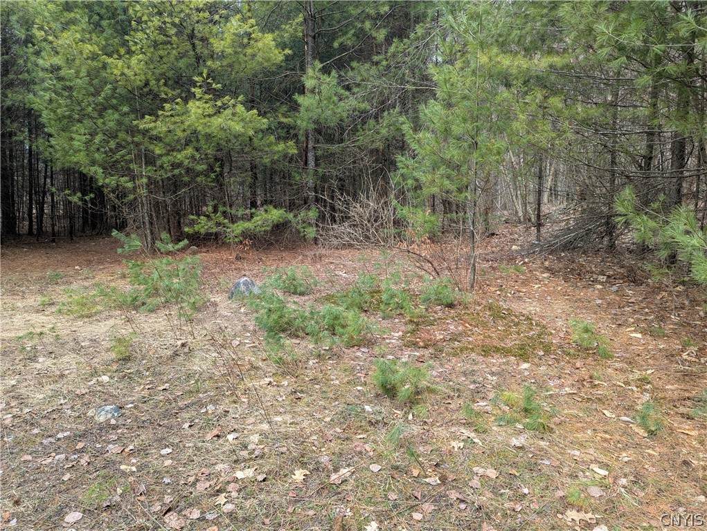 7131 Maple Drive - Photo 1
