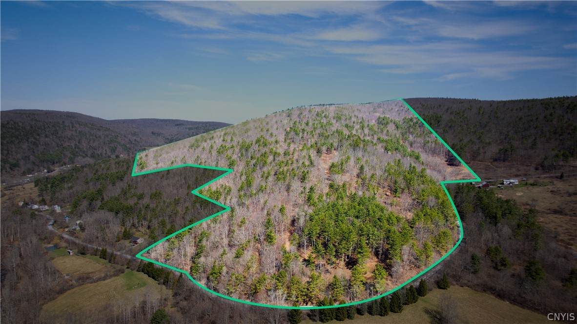 285 Patria Road - Photo 1