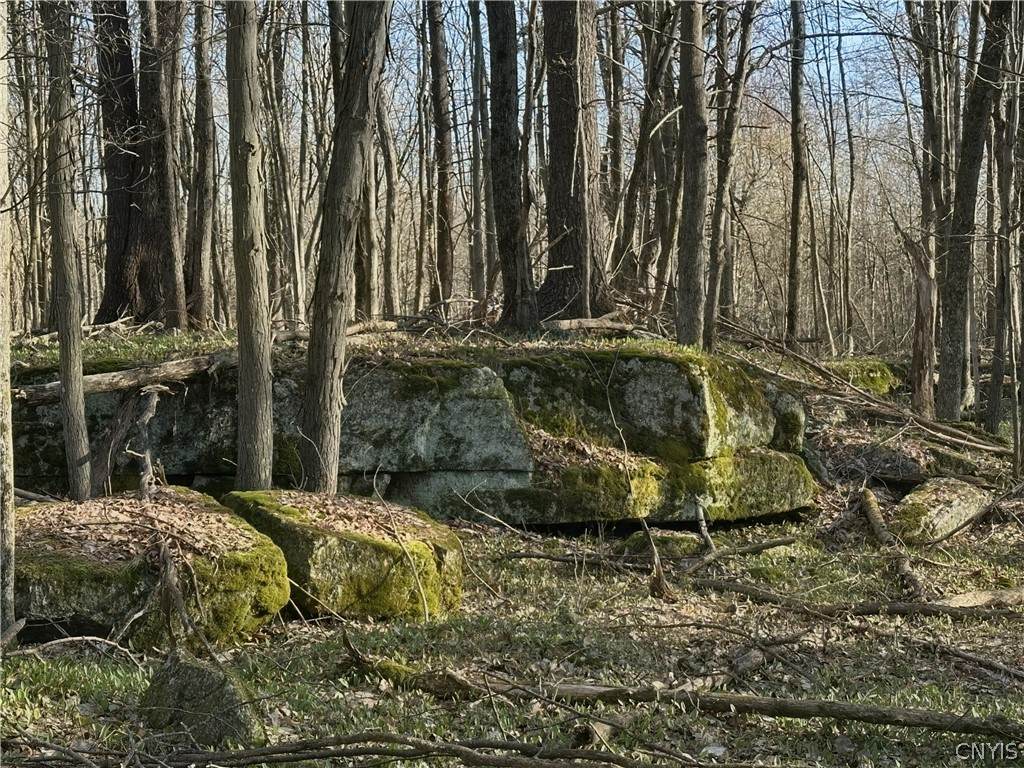  Lead Mine Rd - Photo 1