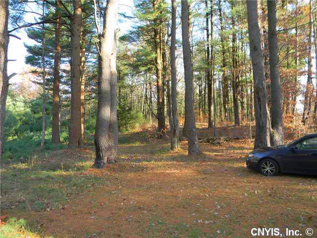 00 Oswego Road - Photo 1