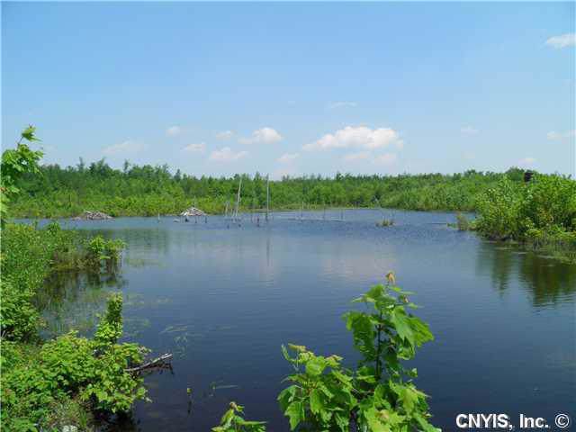 811 Drown Road - Photo 1