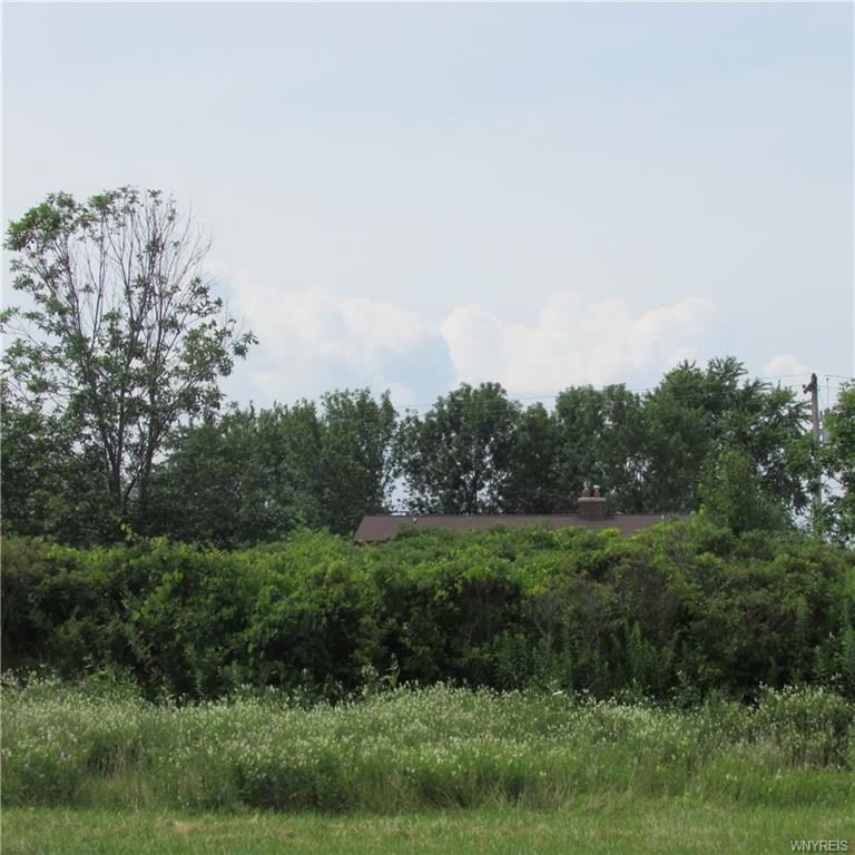 V/L Porter Road - Photo 1