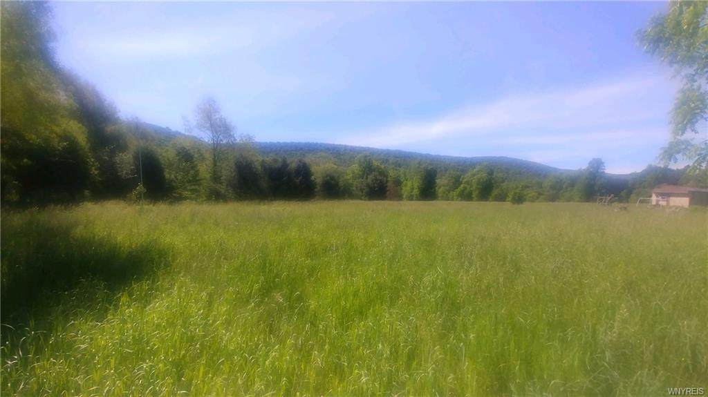 569 Route 446 - Photo 1