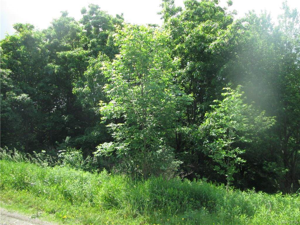 6877 Springs Road - Photo 1