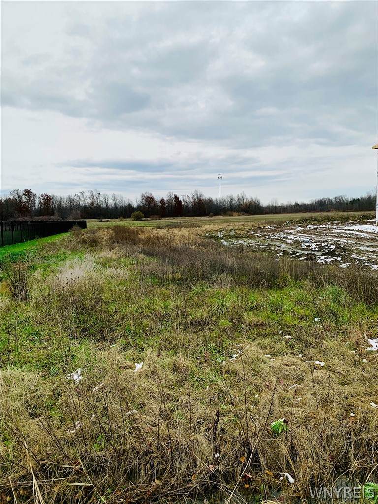 6999 Witmer Road - Photo 1