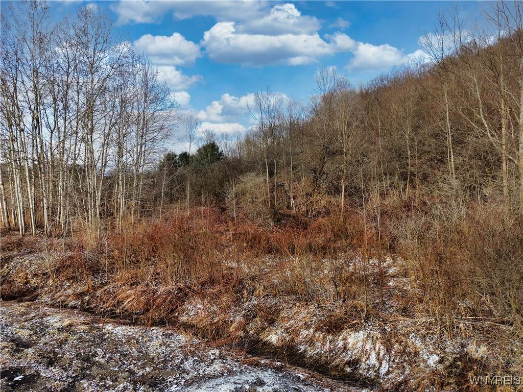 6010 Nys Rte 242 Lot #6 - Photo 1