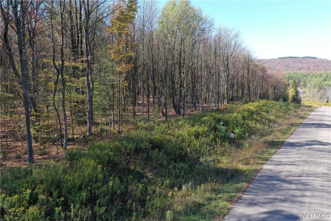 11 Trail Heights - Photo 1