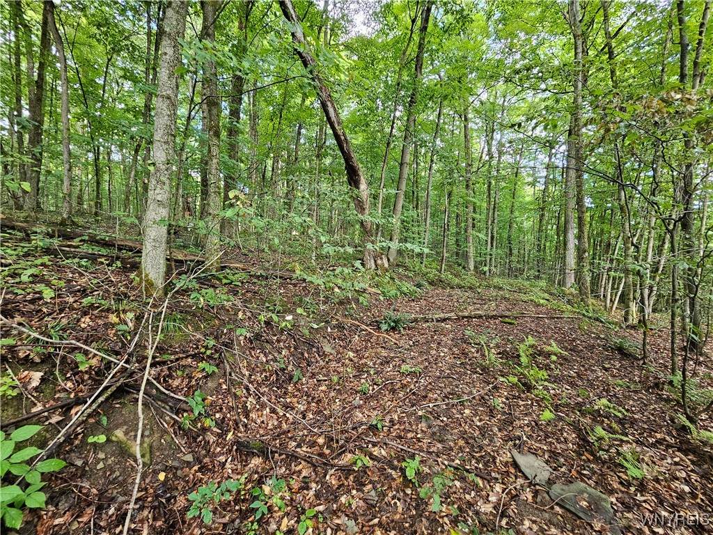  Dublin Terrace Road - Photo 1