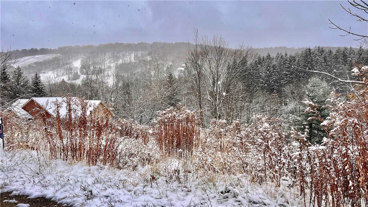 6843 Springs Road - Photo 1