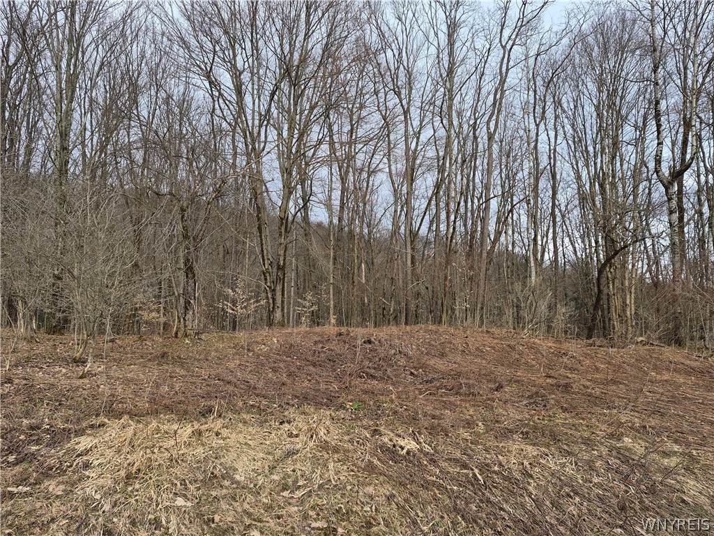 0 Haines Hollow Road - Photo 1