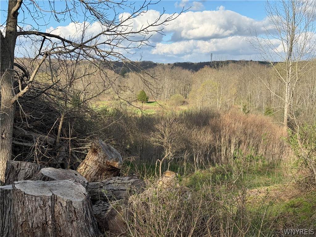 0 Hubbard Road - Photo 1