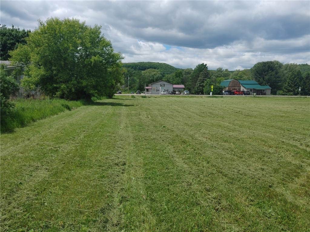 544 Nys Route 414 Road - Photo 1