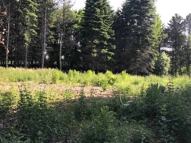 1508 Cranberry Pond - Photo 1