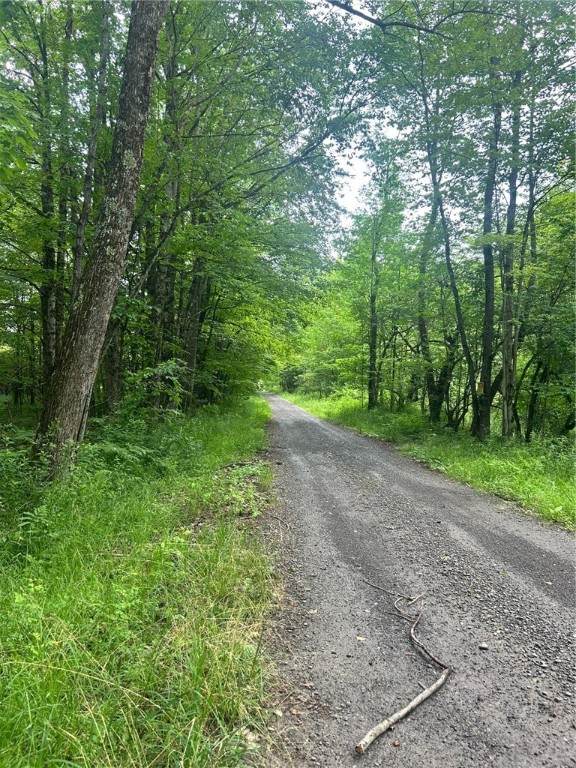  South Road - Photo 1