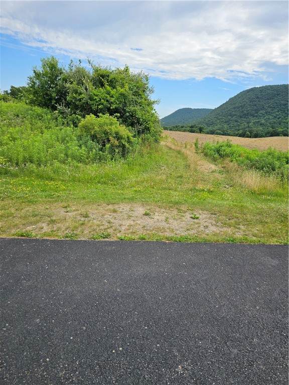 9150 State Route 54 - Photo 1