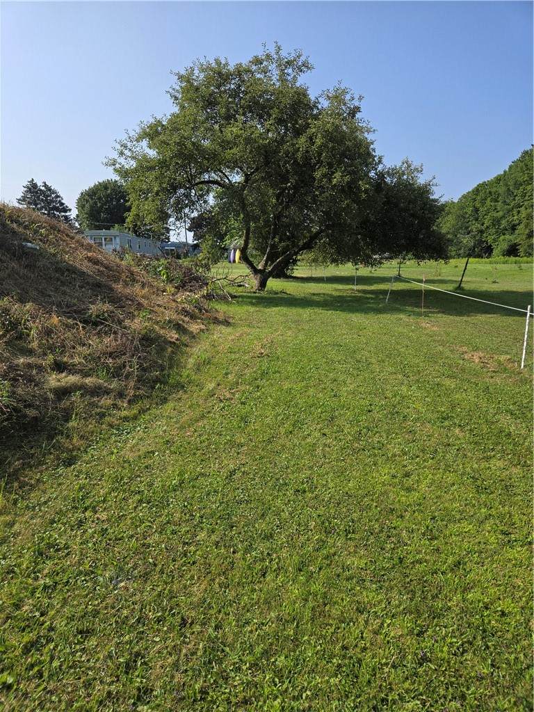 https://bt-photos.global.ssl.fastly.net/rochester/orig_boomver_3_R1629464-2.jpg
