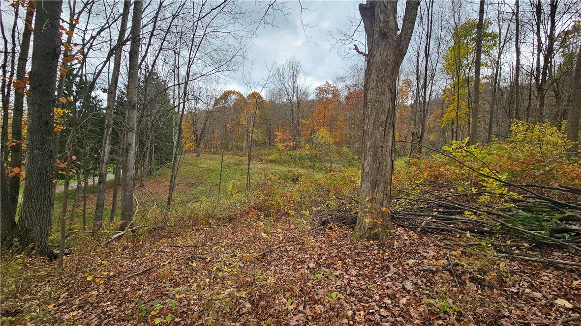 136 Dubois Lane - Photo 1