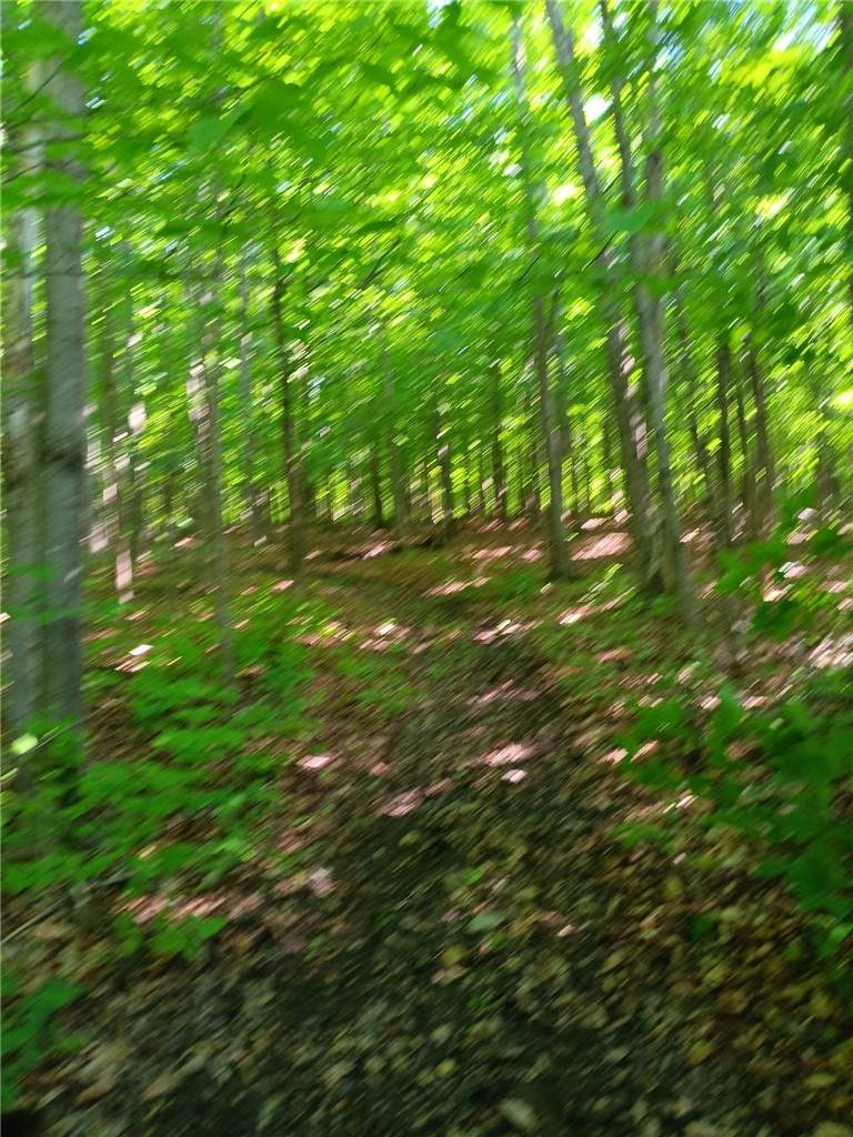 https://bt-photos.global.ssl.fastly.net/rochester/orig_boomver_3_R1660171-2.jpg