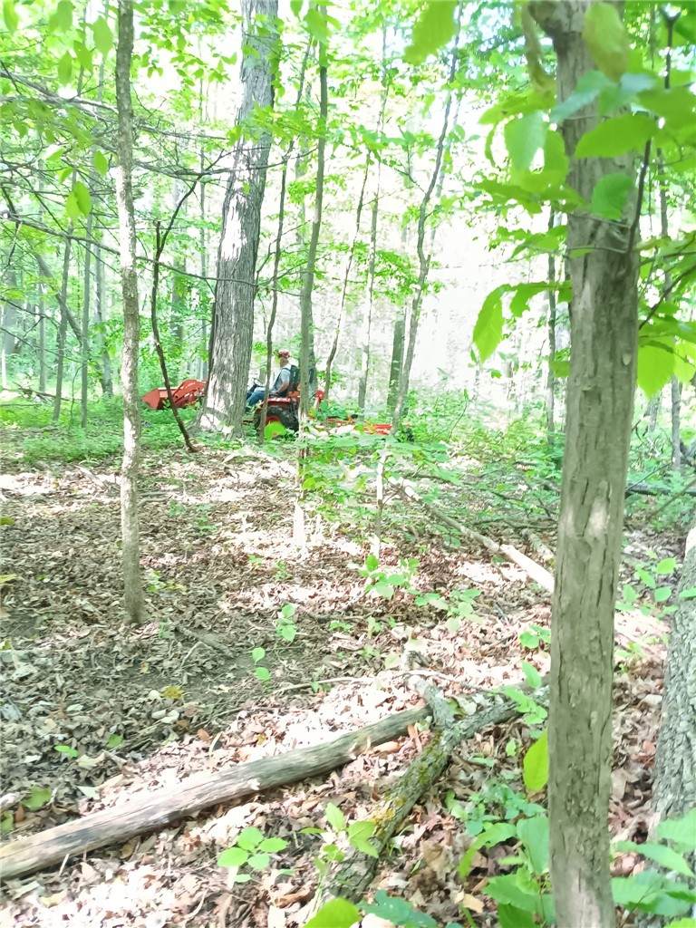 https://bt-photos.global.ssl.fastly.net/rochester/orig_boomver_3_R1660171-2.jpg