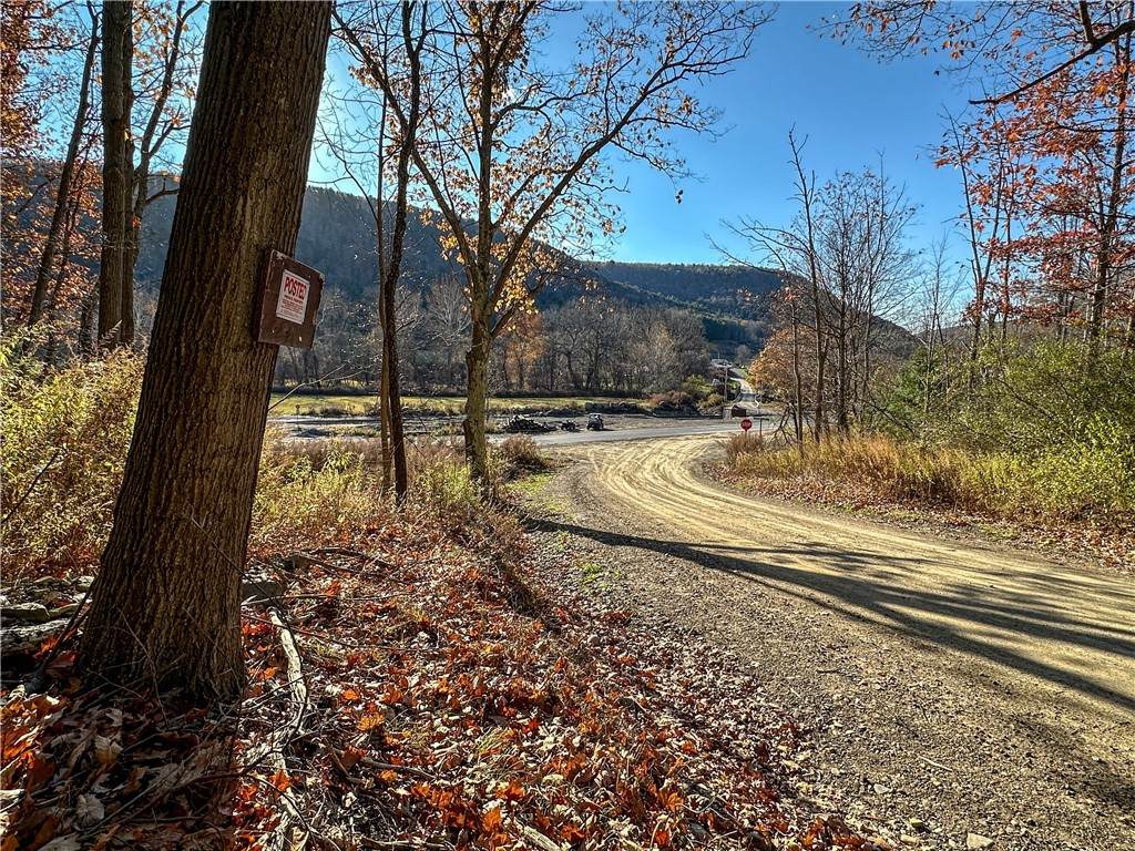 VL Lot 3 Oregon Rd - Photo 1