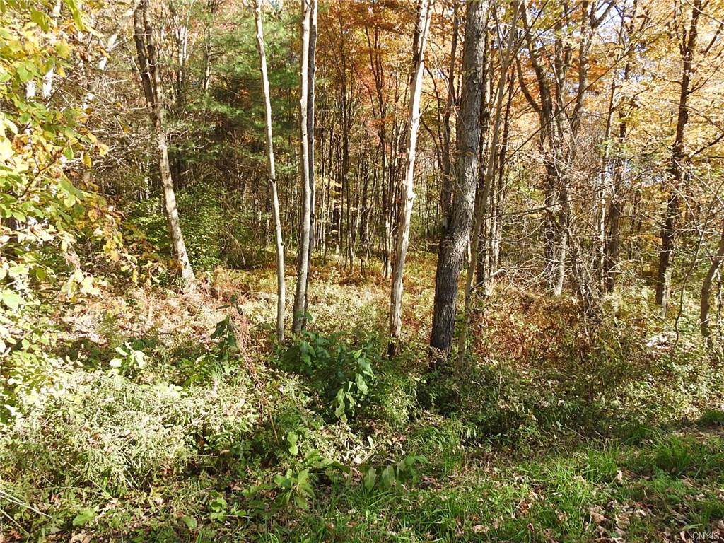 00 Creek Road - Photo 1