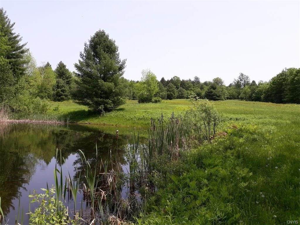 48 Acres Belden Corners Road - Photo 1