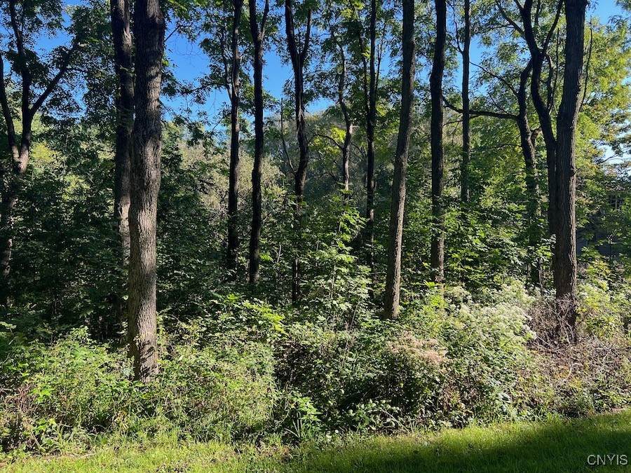  Ouderkirk Road - Photo 1