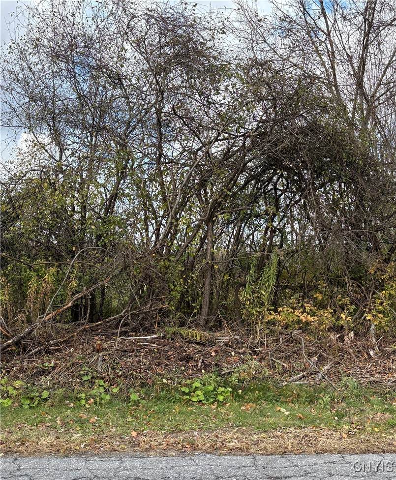  Hinds Rd - Lot #3 - Blue - Photo 1