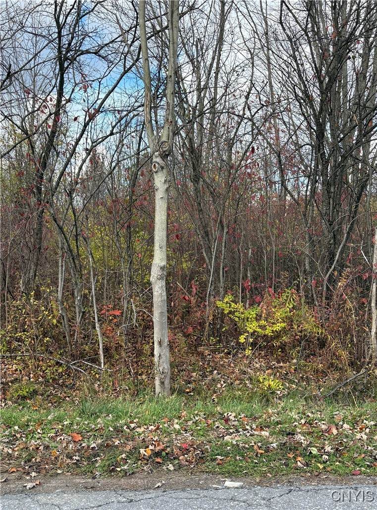  Hinds Rd - Lot 2 - Purple - Photo 1
