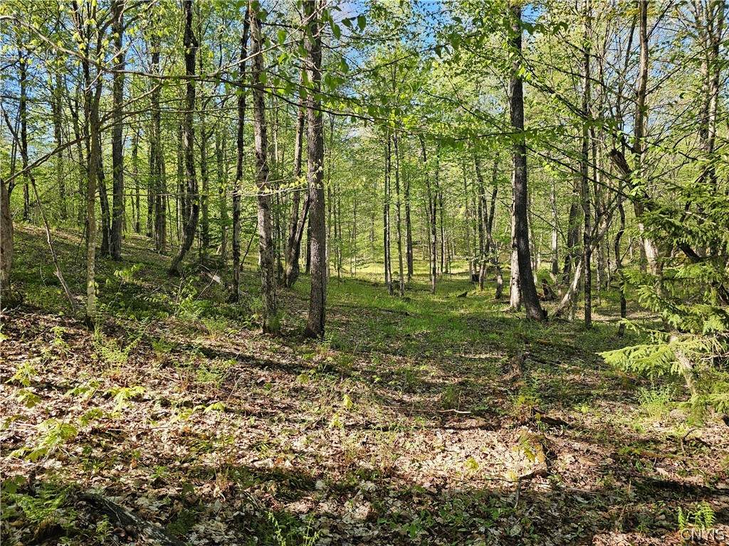 https://bt-photos.global.ssl.fastly.net/rochester/orig_boomver_3_S1651687-2.jpg