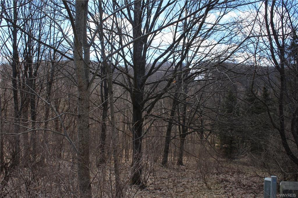 6877 Springs Road - Photo 1