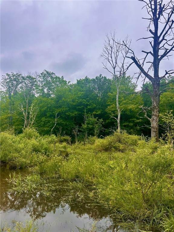 323 County Road 19 - Photo 1