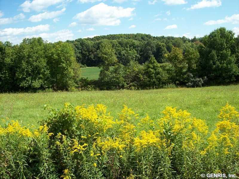 LOT 0-5 Co Road 28 - Photo 1