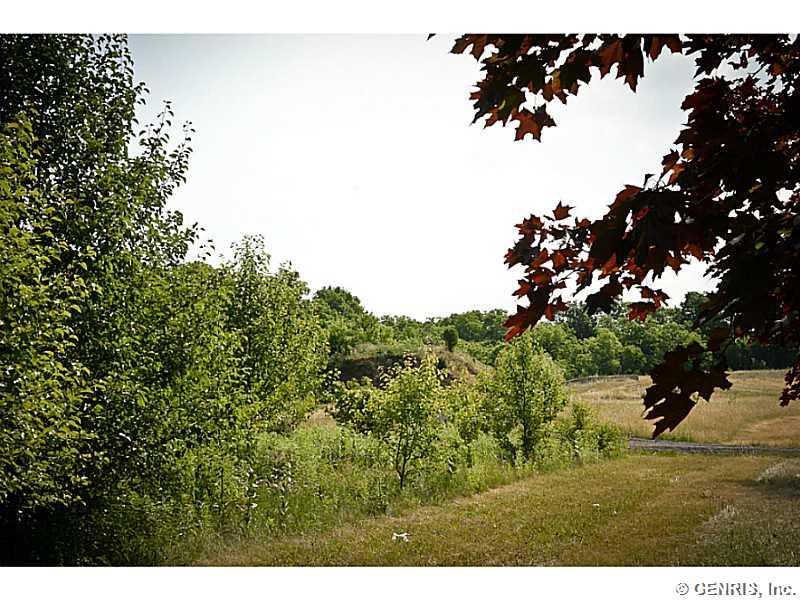 0 County Road 10 - Photo 1