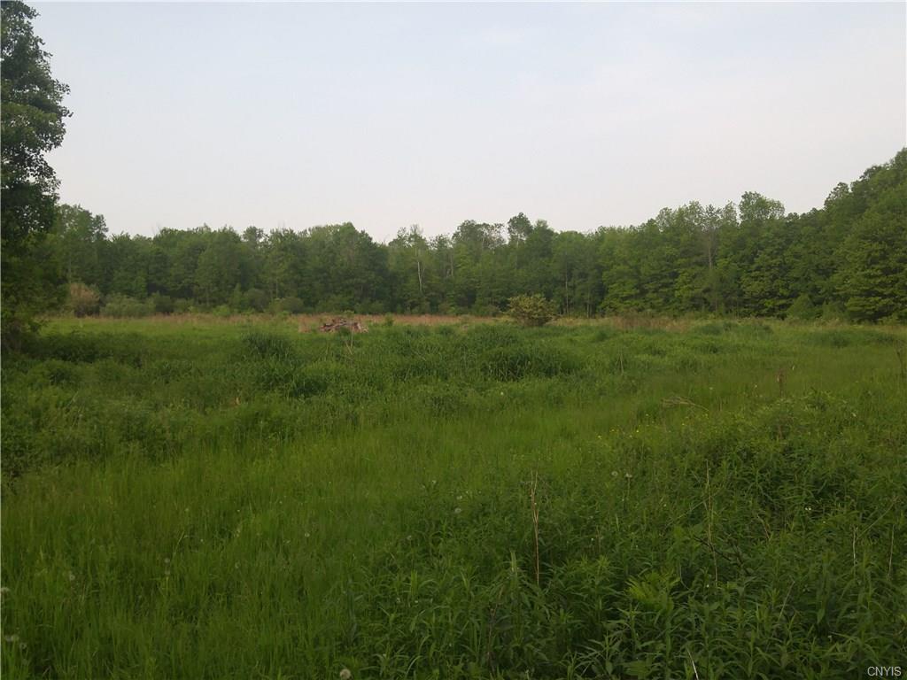 163 +/- Marsh Mill Road - Photo 1