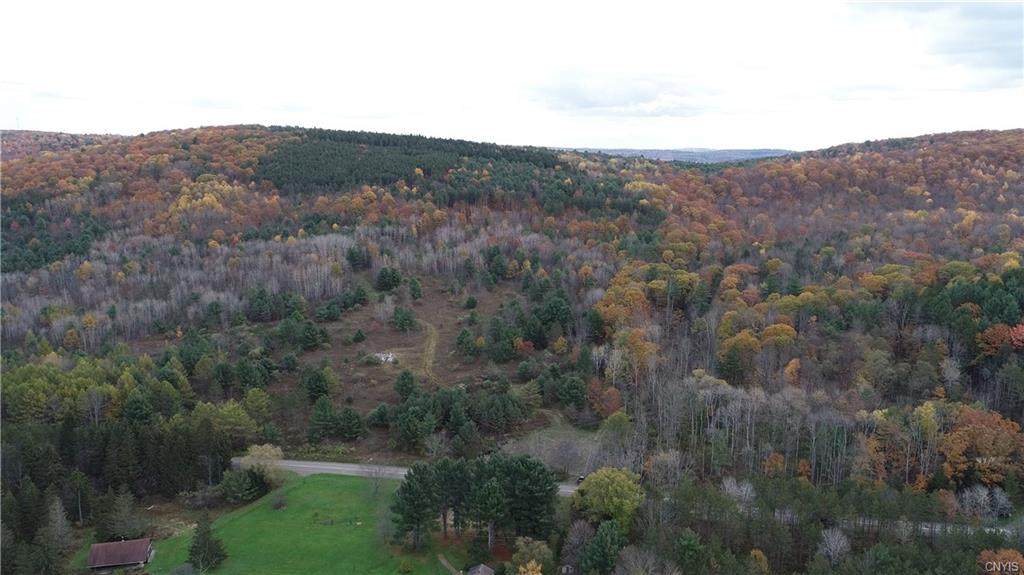 230 acres Dean Creek Road - Photo 1