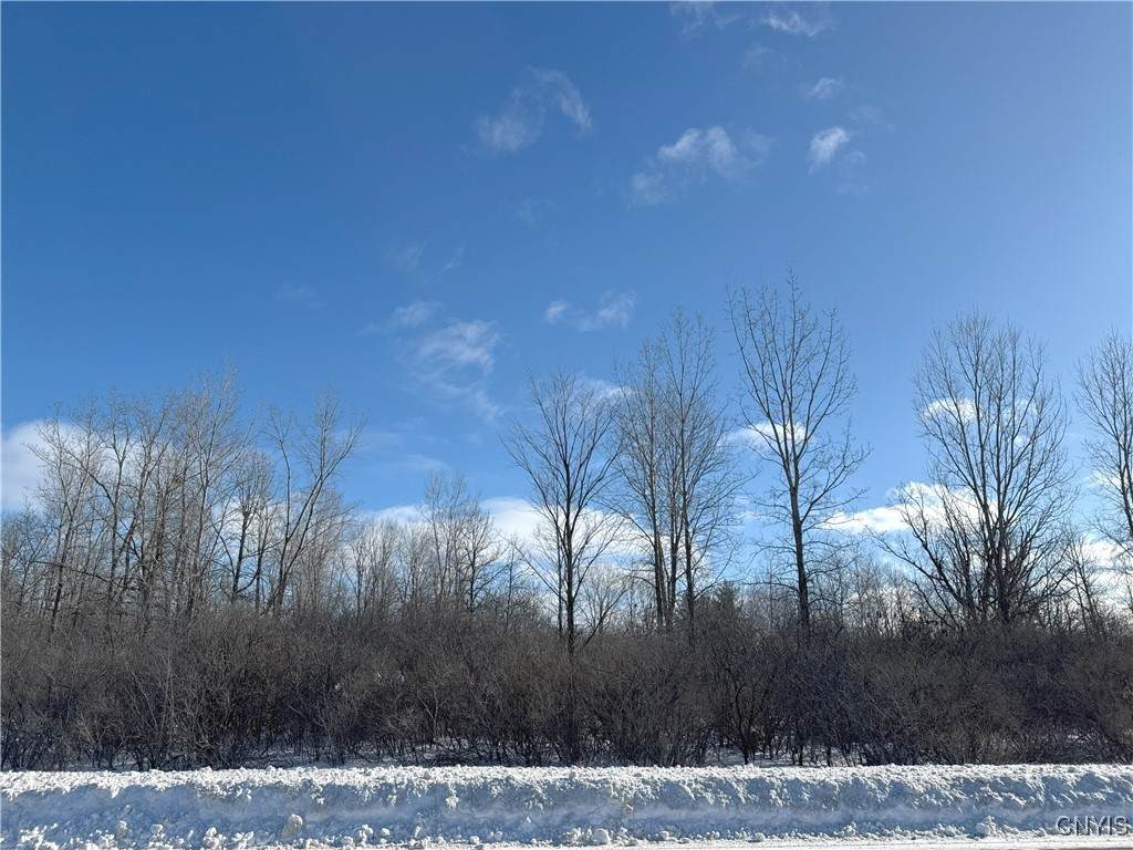 25768 Nys Rte 12 - Photo 1