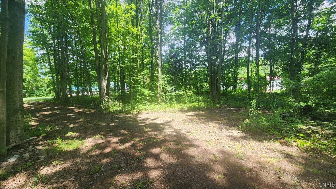 47 Cemetery Drive - Photo 1