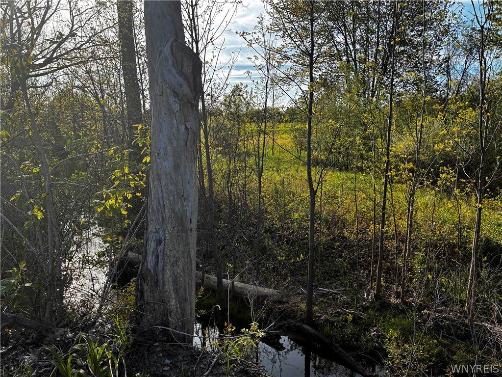 2330 Ridge Road - Photo 1