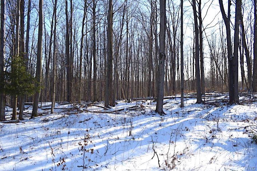 0 Co Rt 40 - Photo 1
