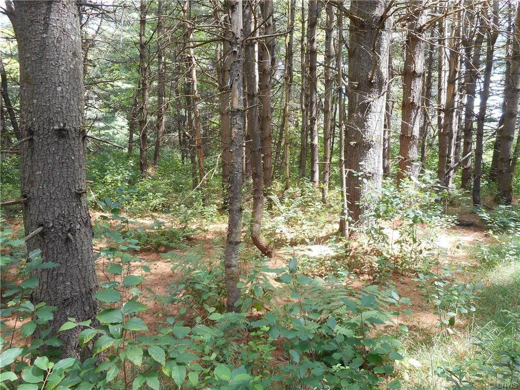 00 Creek Road - Photo 1