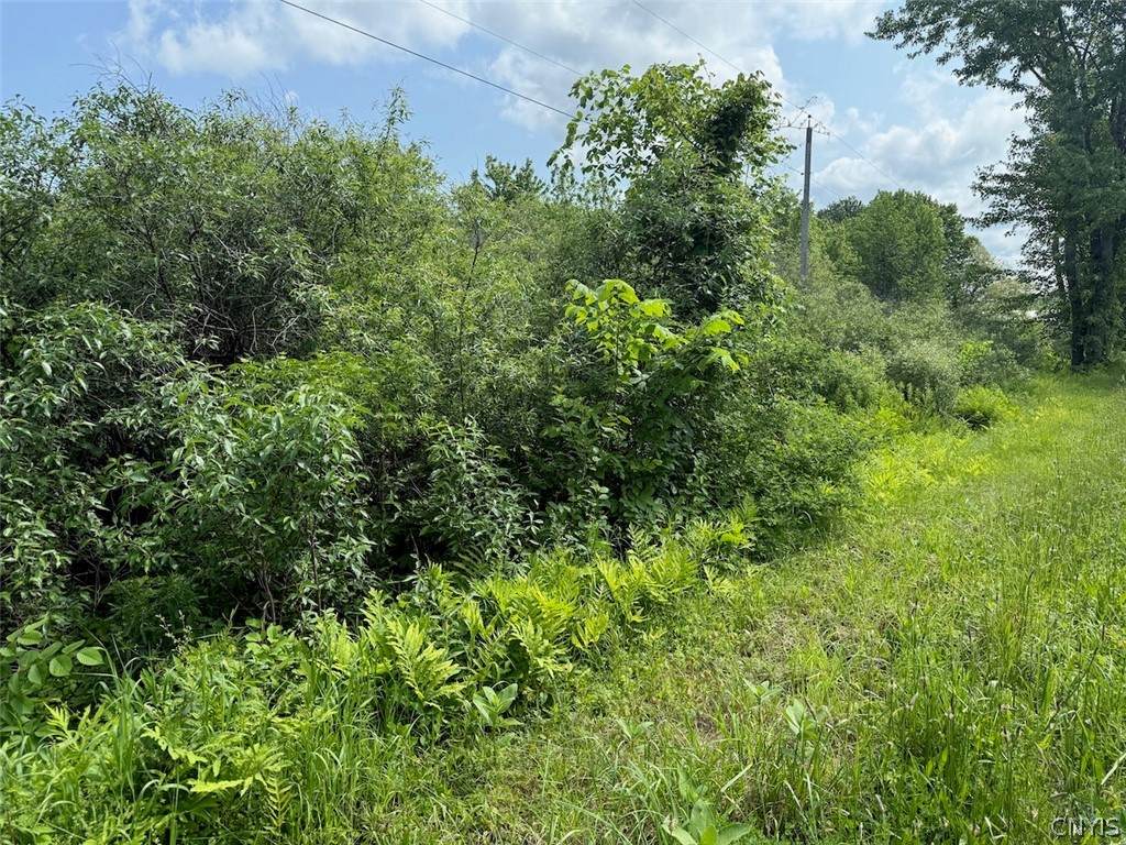  Cobb Drive - Photo 1