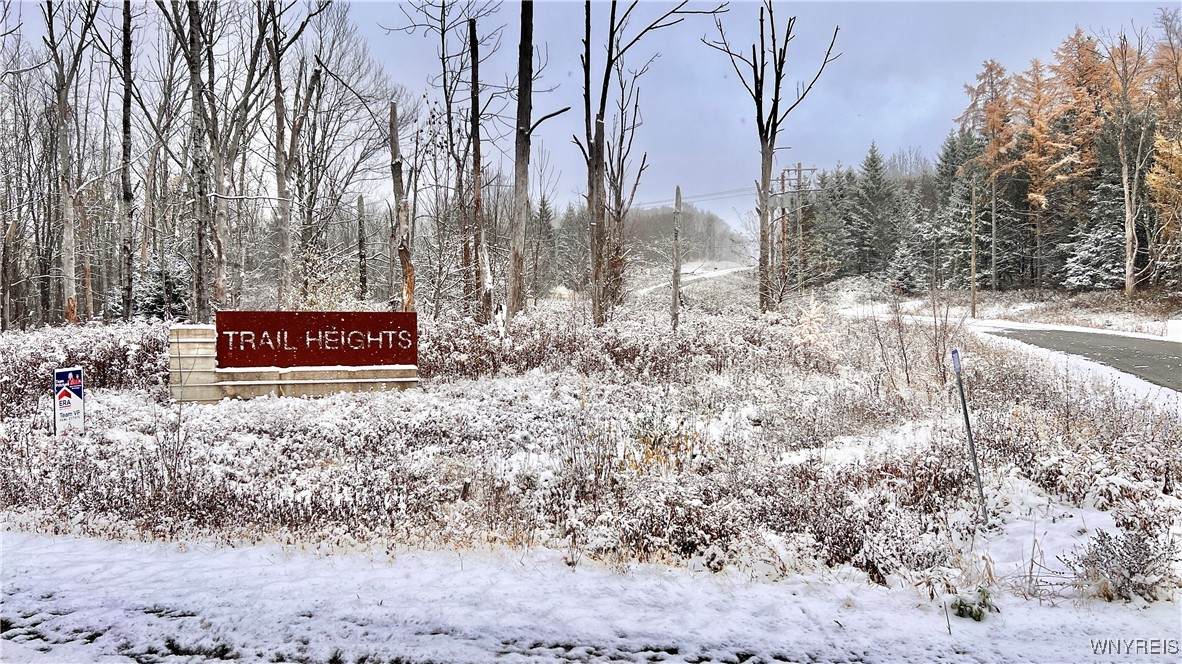 1 Trail Heights - Photo 1