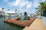 107 Angelfish - Photo 46