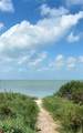 3990 Fm1781 - Photo 3