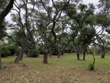 302 Lamar Beach Rd - Photo 15