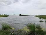302 Lamar Beach Rd - Photo 20